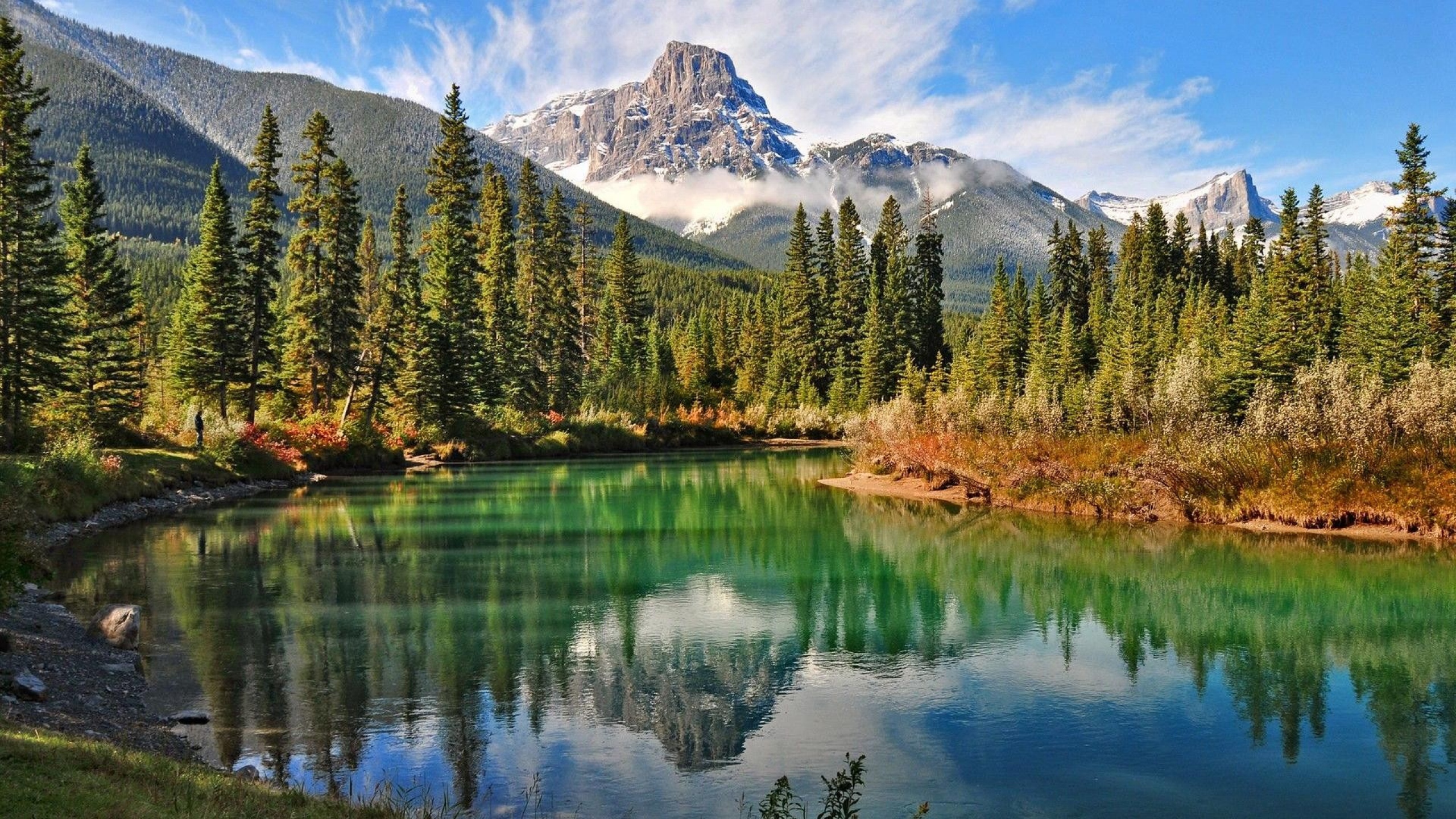 mac wallpaper nature,natural landscape,nature,reflection,larix lyalliisubalpine larch,mountain