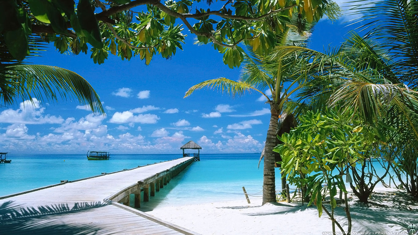 ビーチ画像壁紙,カリブ海,木,自然の風景,休暇,ヤシの木