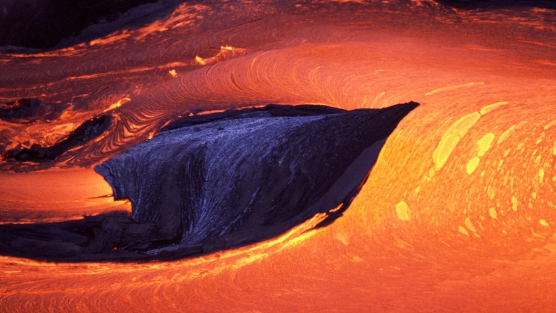 magma wallpaper,geological phenomenon,orange,dolphin,leaf,marine mammal