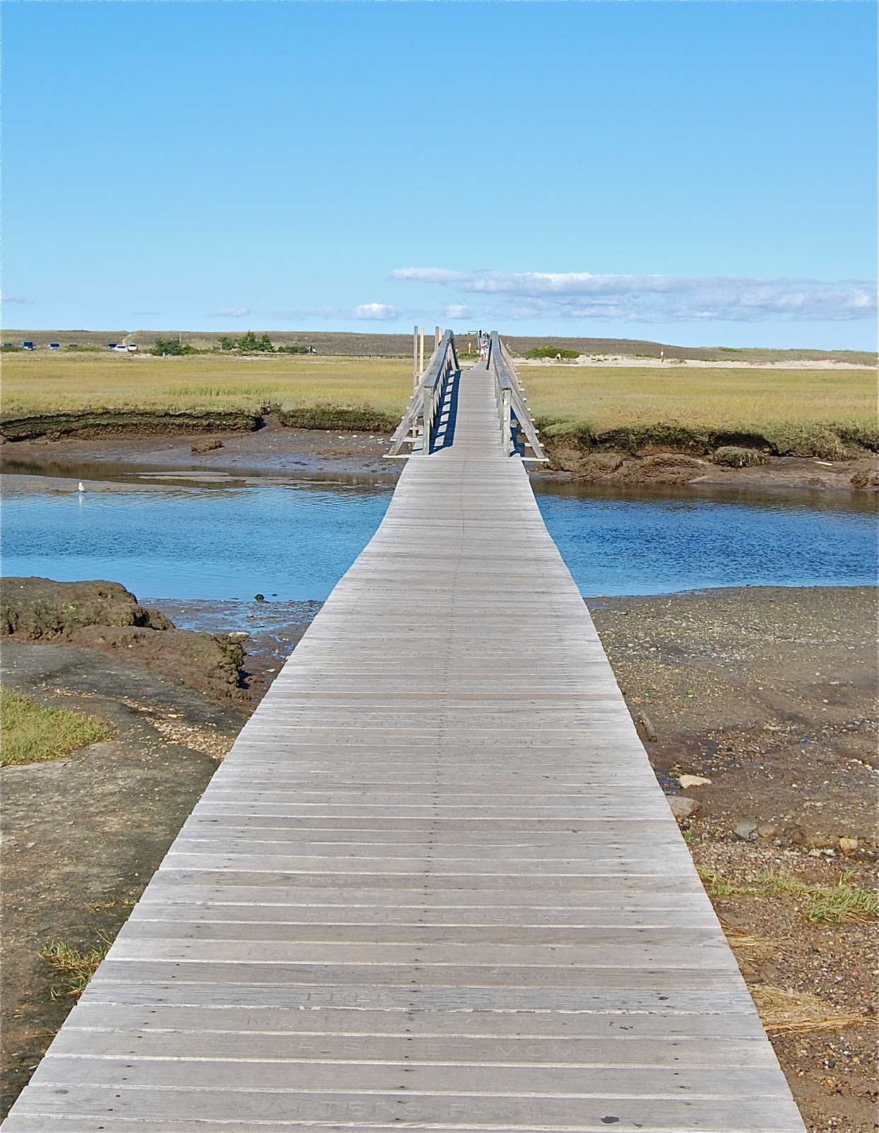 papier peint cape cod,promenade,passerelle,l'eau,quai,jetée