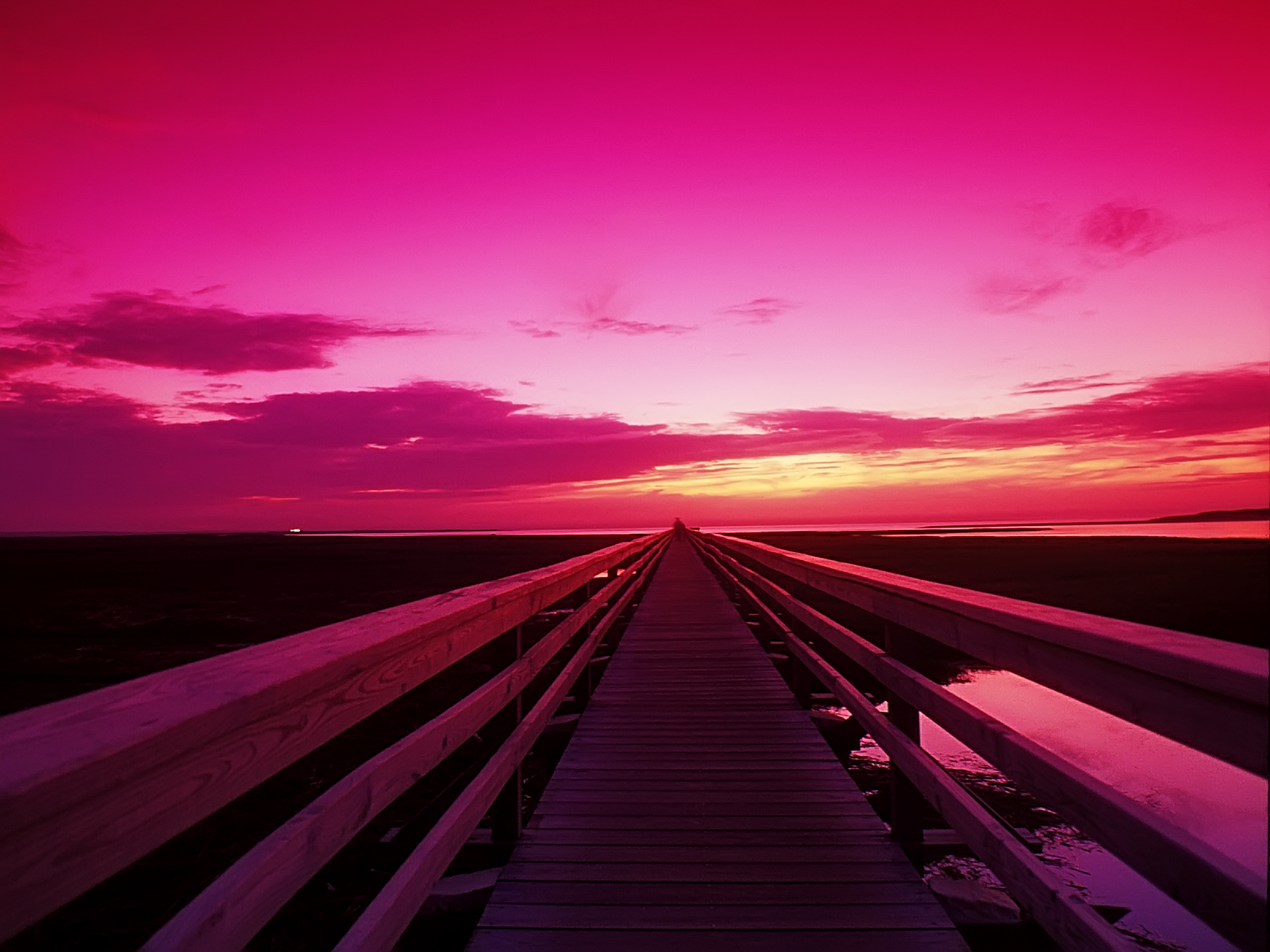 cape cod tapete,himmel,rosa,nachglühen,horizont,lila