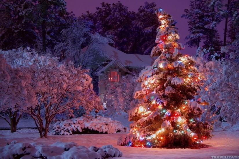 크리스마스 배경 화면 hd 1920x1080,크리스마스 트리,나무,겨울,자연,크리스마스