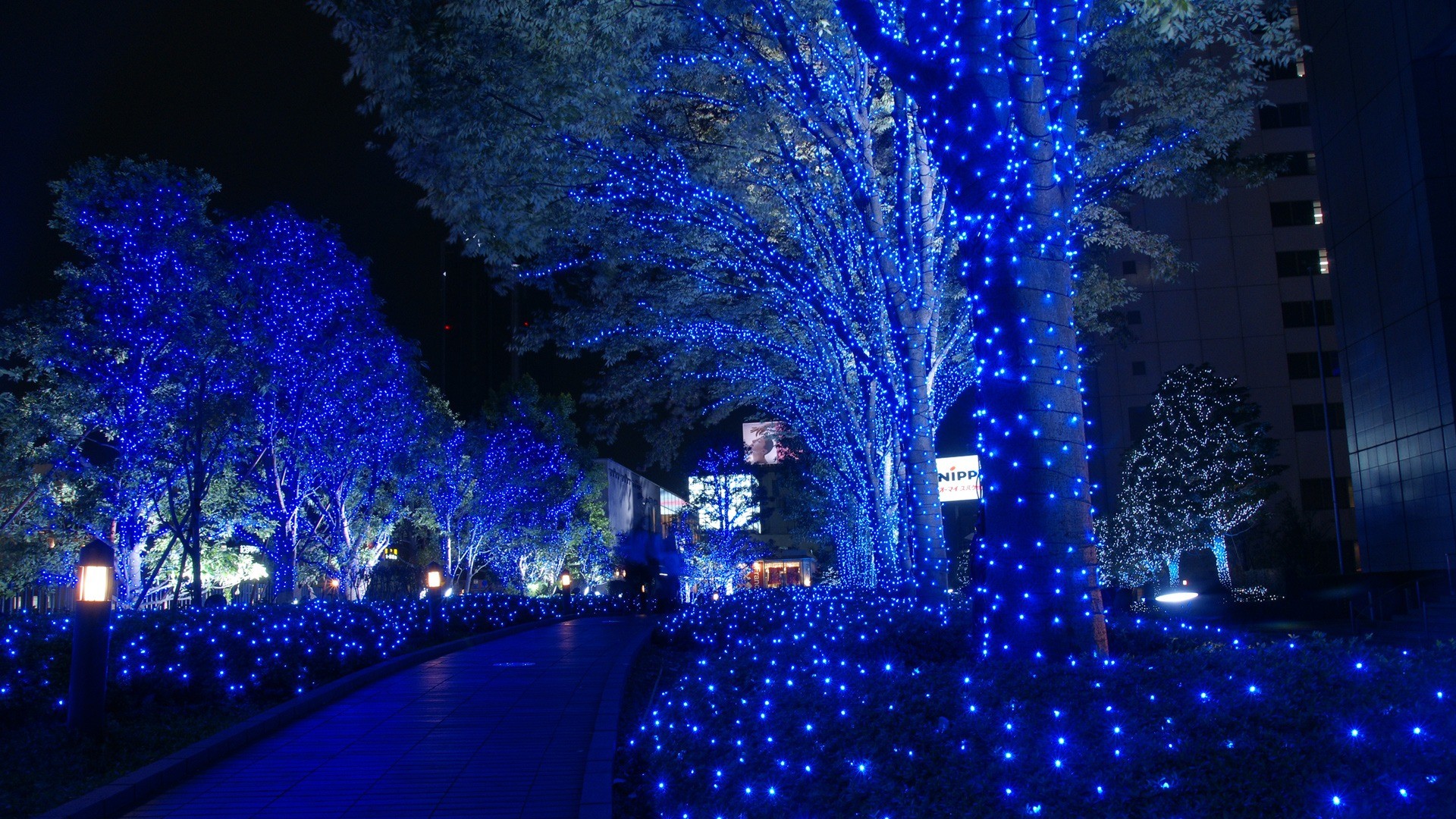weihnachten tapete hd 1920x1080,blau,weihnachtsbeleuchtung,weihnachtsdekoration,beleuchtung,majorelle blau