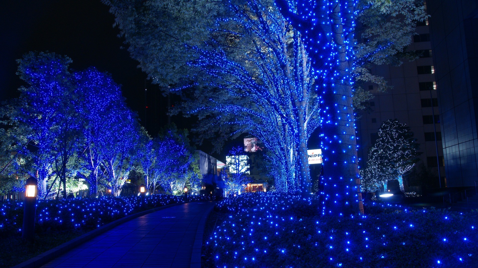 noël fond d'écran hd 1920x1080,bleu,lumières de noël,décoration de noël,éclairage,bleu majorelle