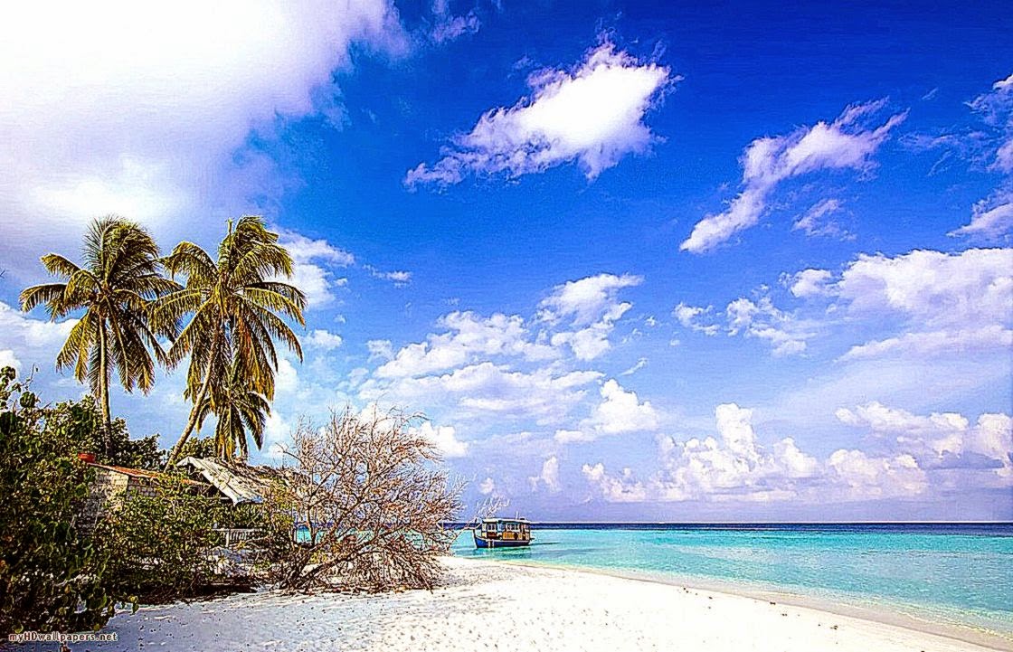 壁紙旅館,空,自然,自然の風景,木,海