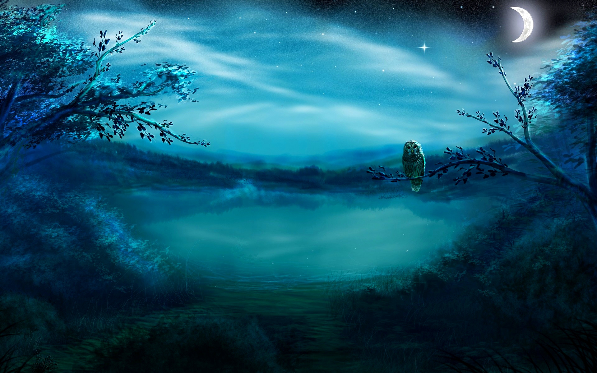 夢の夜の壁紙,空,自然,青い,月光,光