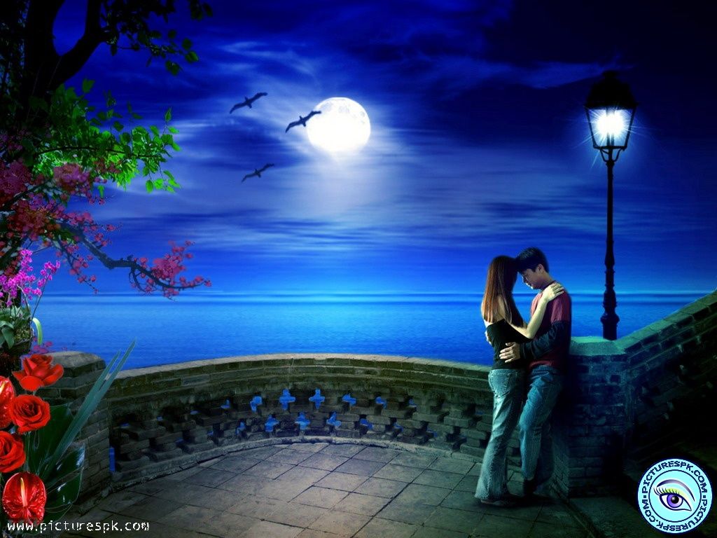 夢の夜の壁紙,光,空,ロマンス,木,月光