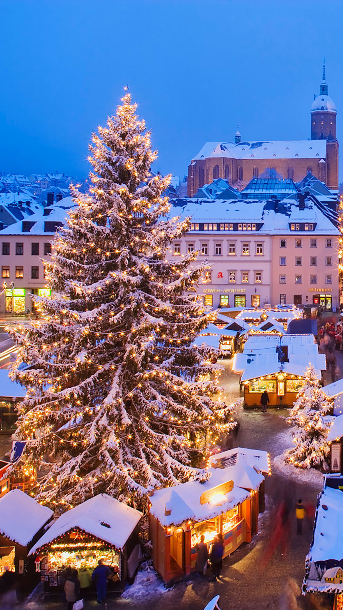 fondo de pantalla de vacaciones de navidad,árbol de navidad,abeto de colorado,árbol,nieve,invierno