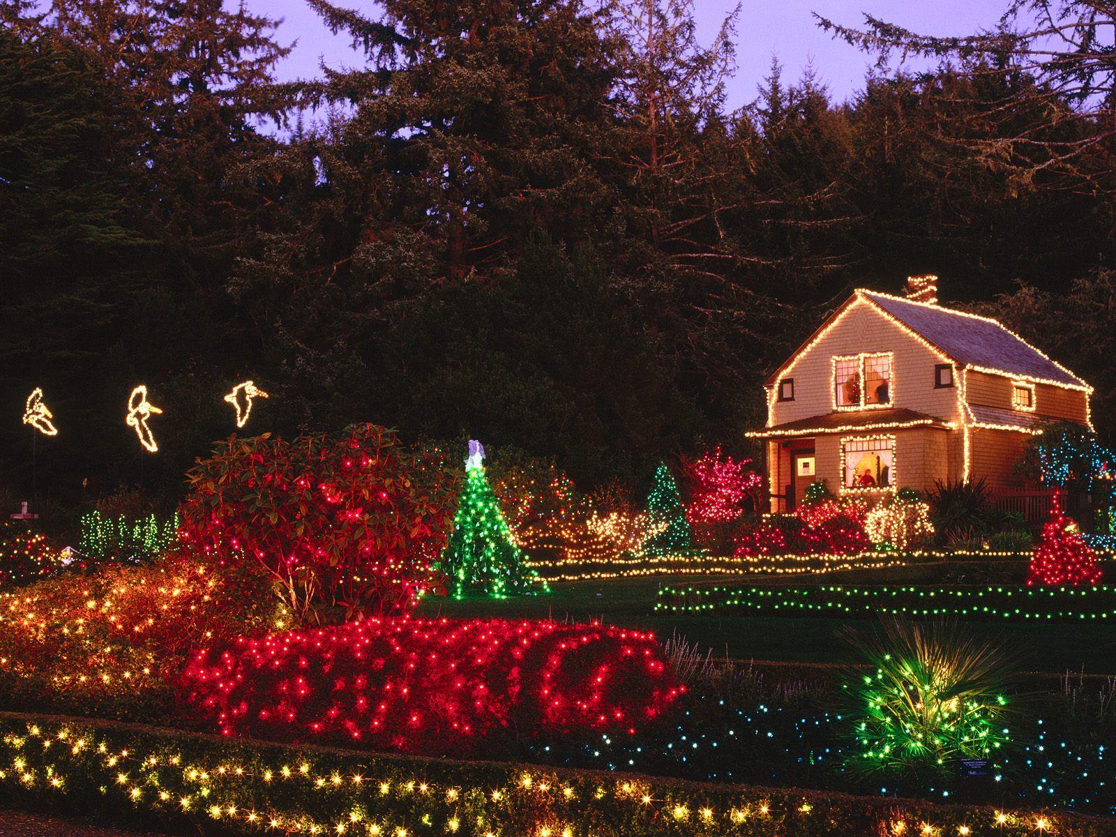 fondo de pantalla de vacaciones de navidad,luces de navidad,decoración navideña,encendiendo,navidad,ligero