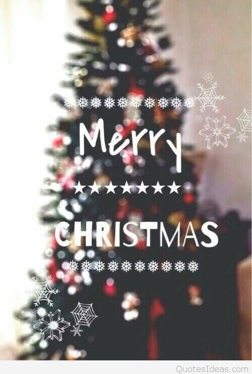 christmas love wallpaper,christmas tree,christmas decoration,christmas,christmas ornament,colorado spruce