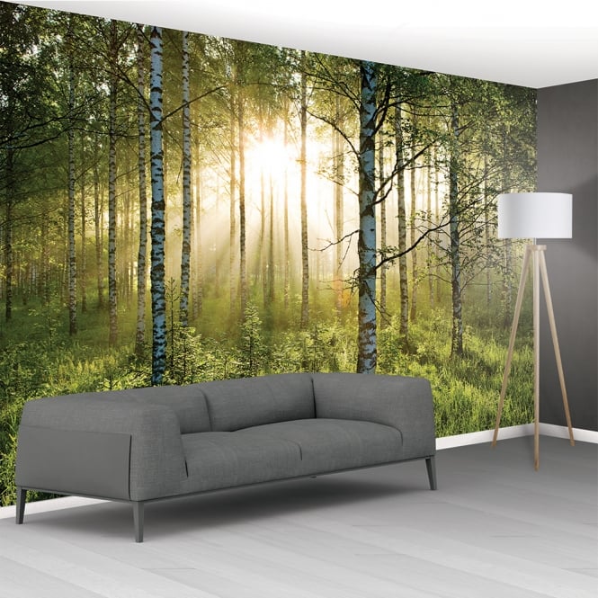 wallpaper builders warehouse,nature,wall,wallpaper,furniture,tree