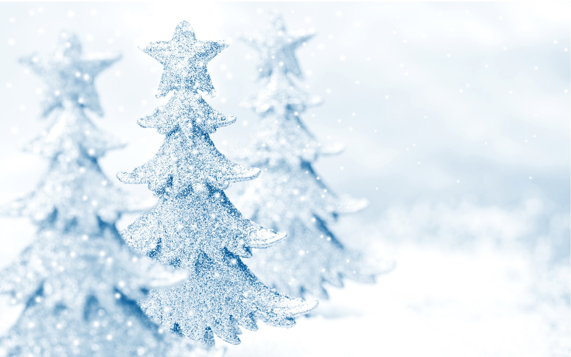 ホワイトクリスマスの壁紙,霜,クリスマスツリー,木,コロラドスプルース,冬