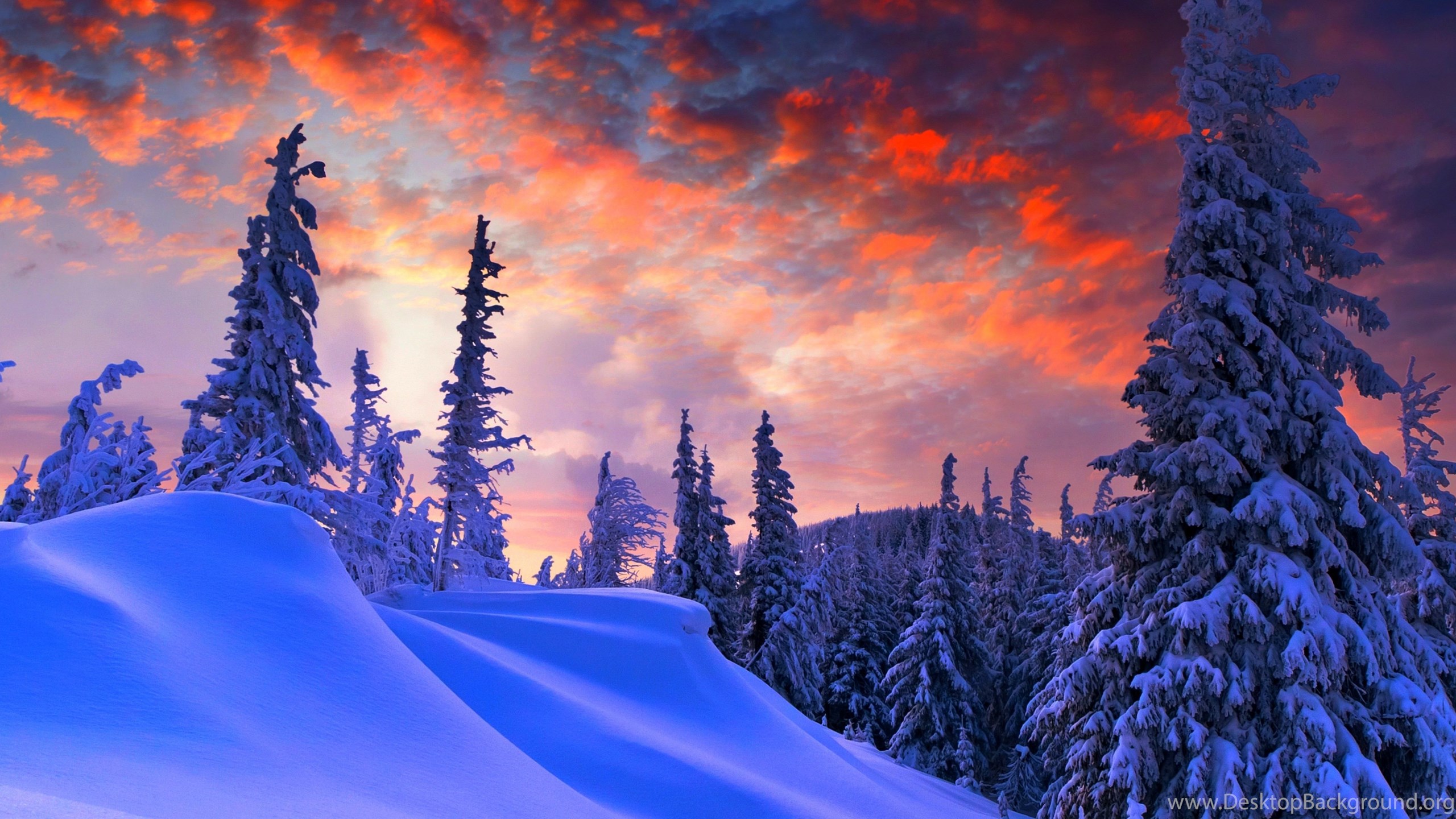 sfondi di natale full hd,cielo,natura,neve,inverno,blu