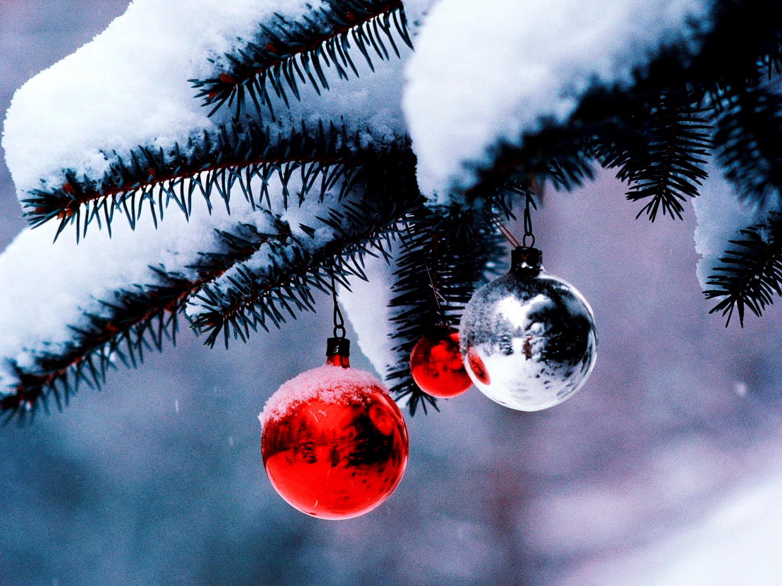 fond d'écran de noël pour ordinateur portable,décoration de noël,arbre,sapin de noël,rouge,hiver