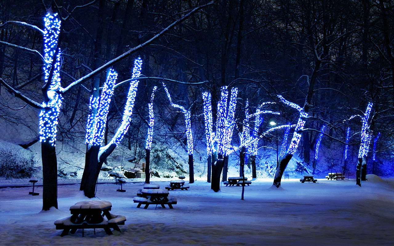 クリスマス壁紙hdワイド画像,冬,雪,木,自然,凍結