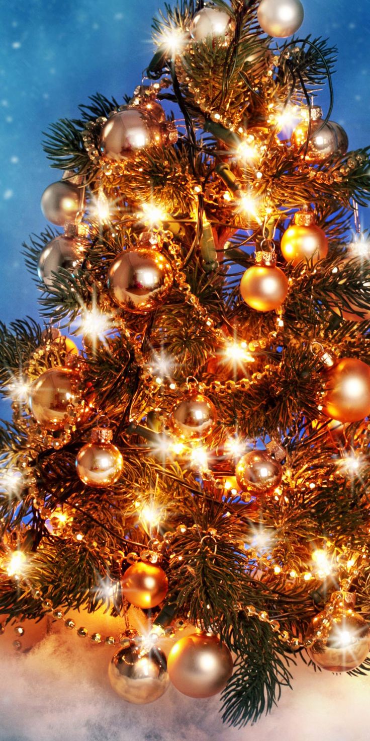 christmas wallpaper hd widescreen,christmas tree,christmas decoration,christmas ornament,tree,christmas
