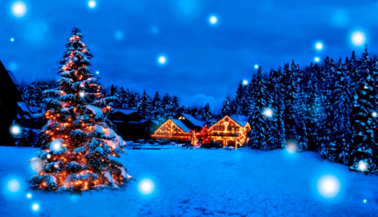 navidad fondos de pantalla hd widescreen,árbol de navidad,azul,invierno,nieve,cielo