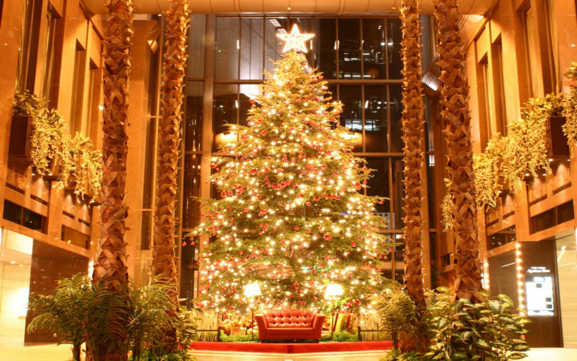 クリスマスデスクトップ壁紙hd,クリスマスの飾り,クリスマスツリー,木,クリスマス,クリスマスオーナメント