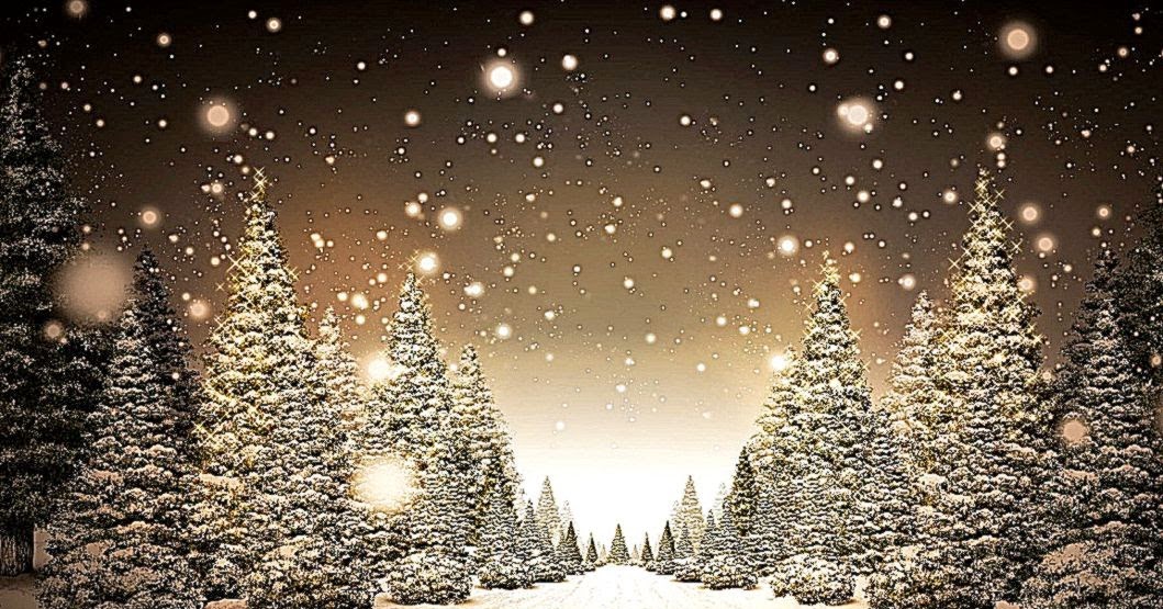 fond d'écran de noël hd grand écran,neige,arbre,hiver,ciel,lumière