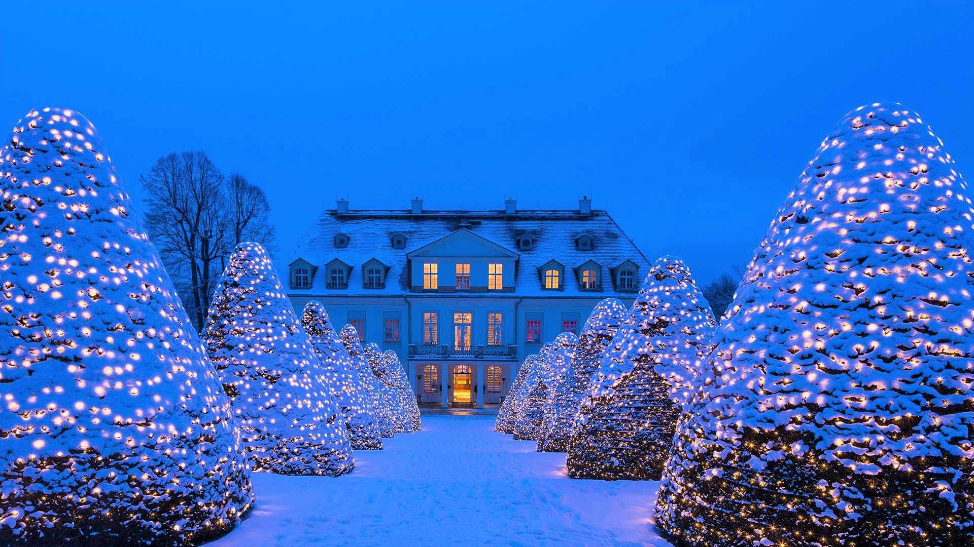 navidad fondo de pantalla 1920x1080,azul,invierno,azul majorelle,nieve,árbol