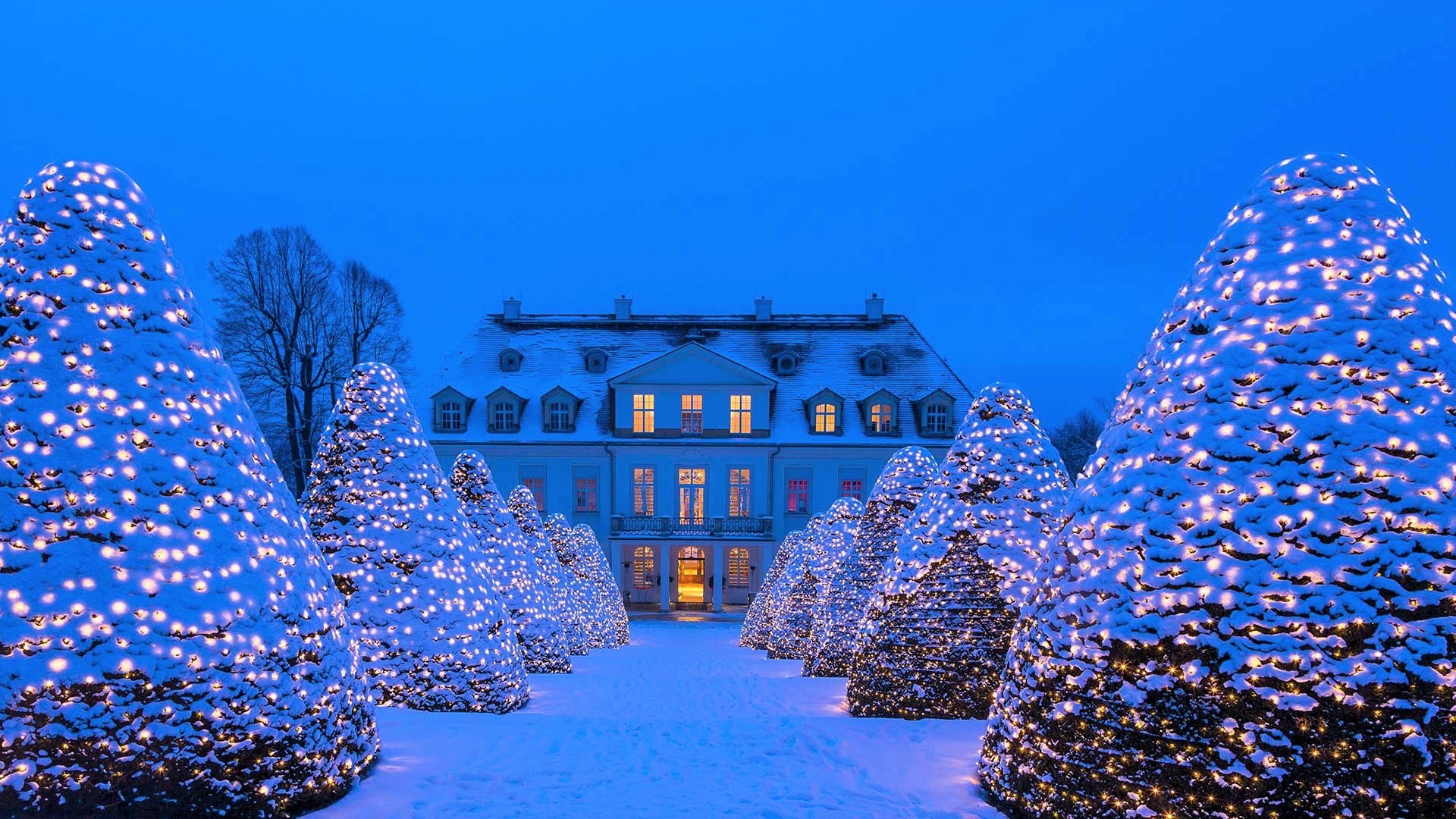 christmas wallpaper 1920x1080,blue,winter,majorelle blue,snow,tree