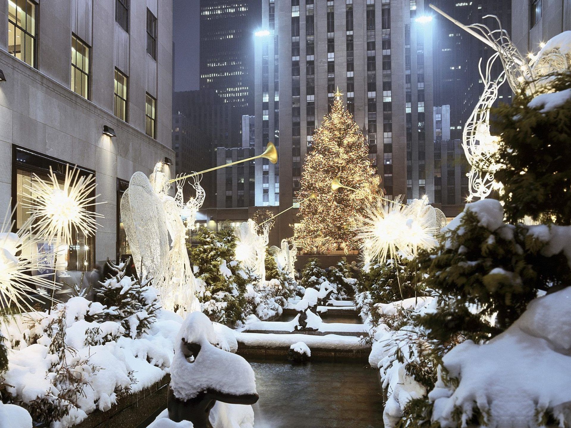 nouveau fond d'écran de noël,neige,hiver,gelé,arbre,éclairage