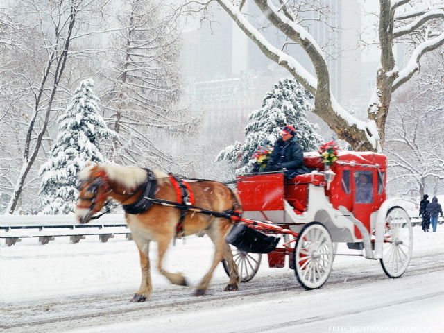 新しいクリスマスの壁紙,馬とバギー,車両,冬,うま,カート