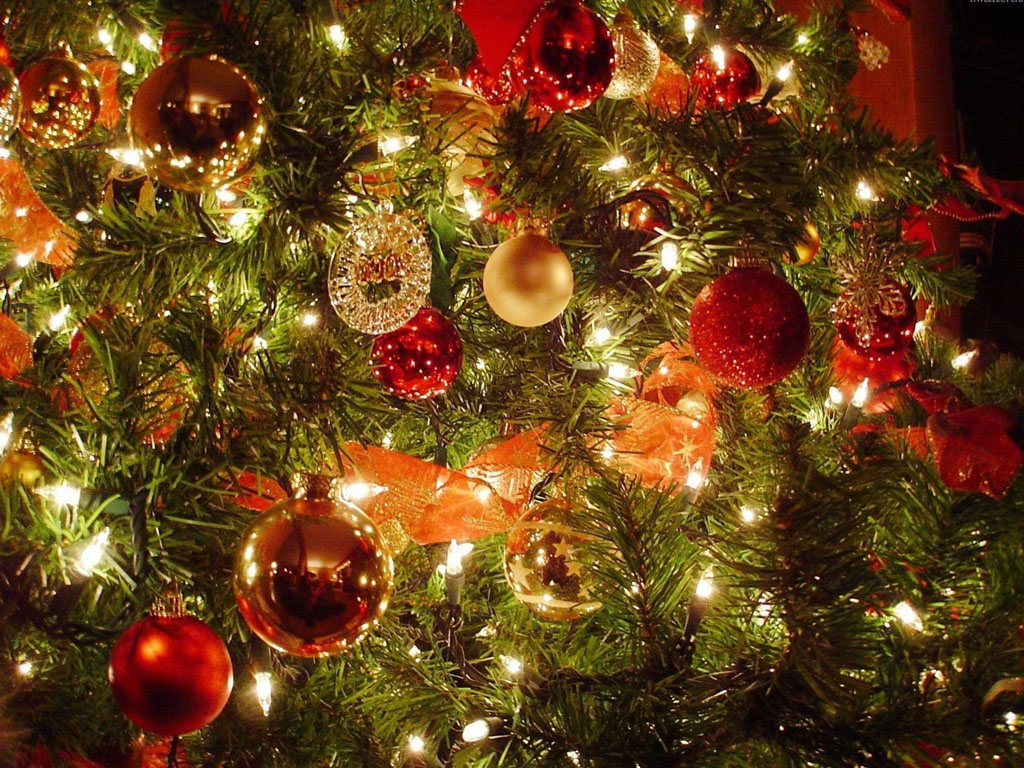 new christmas wallpaper,christmas tree,christmas decoration,christmas ornament,christmas,holiday ornament