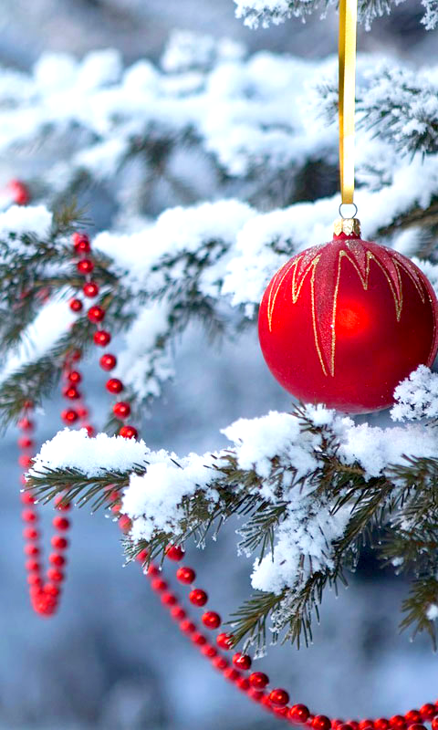 christmas wallpaper images,christmas ornament,winter,red,freezing,christmas decoration