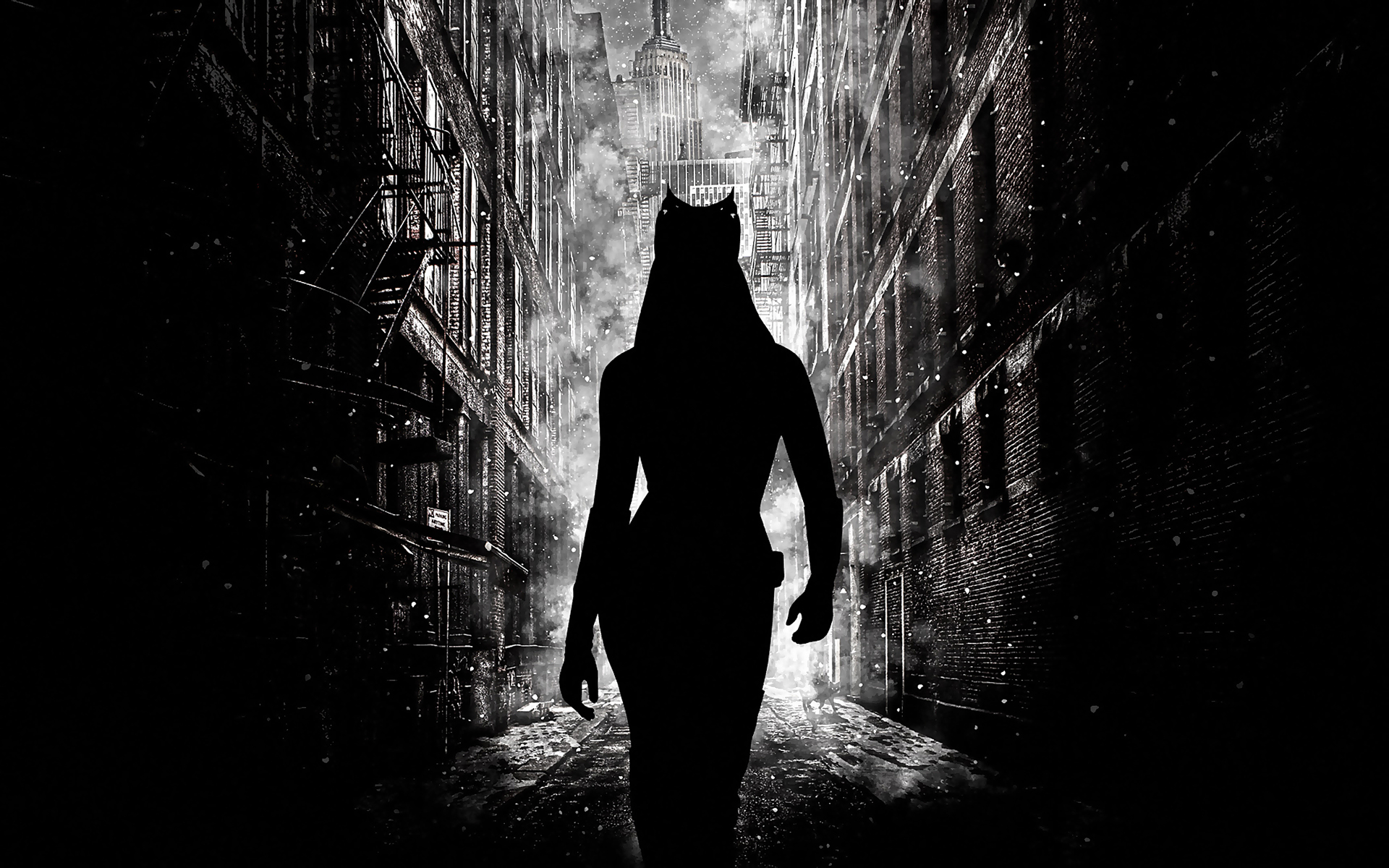 catwoman hd wallpaper,black,darkness,black and white,light,standing