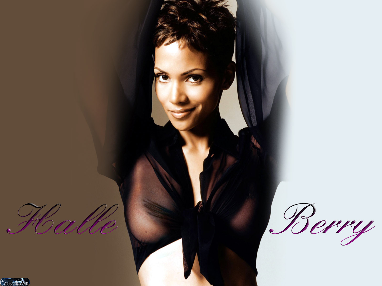 halle berry wallpaper,hair,beauty,hairstyle,album cover,model