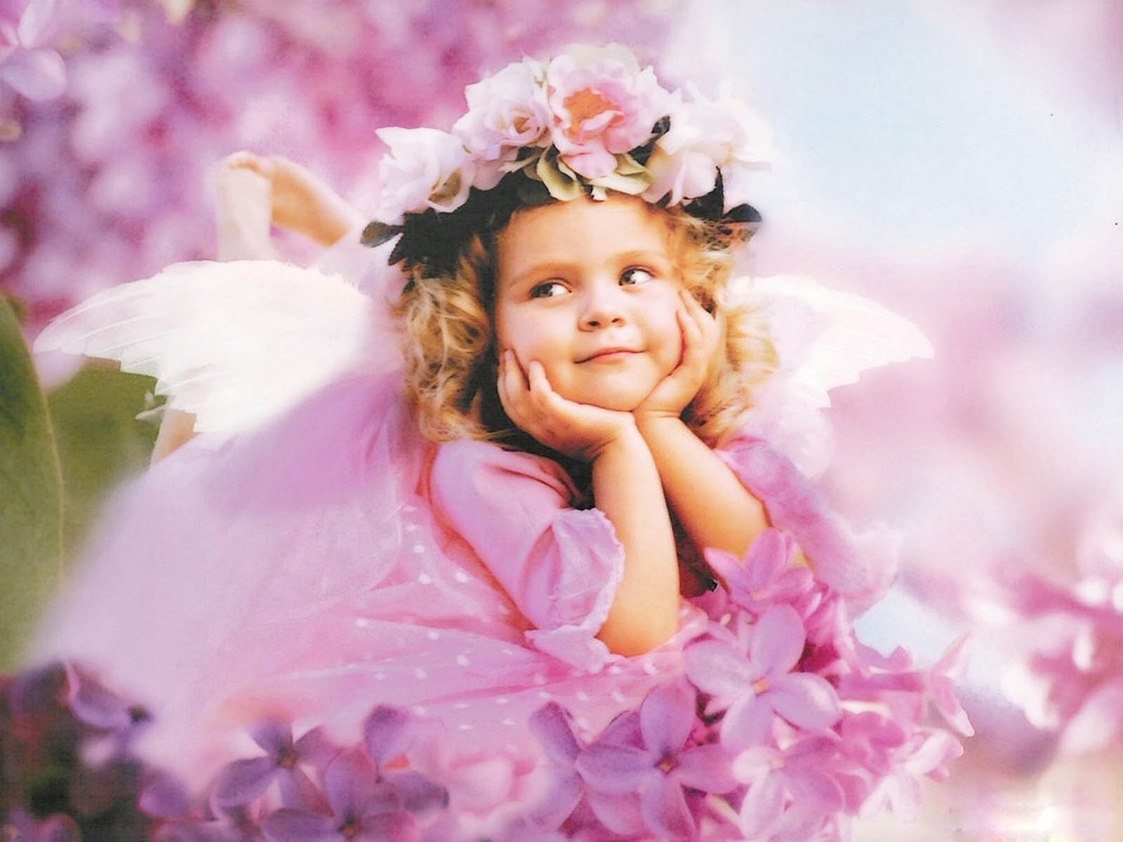 아기 천사 벽지,분홍,라일락 꽃,아이,아름다움,천사