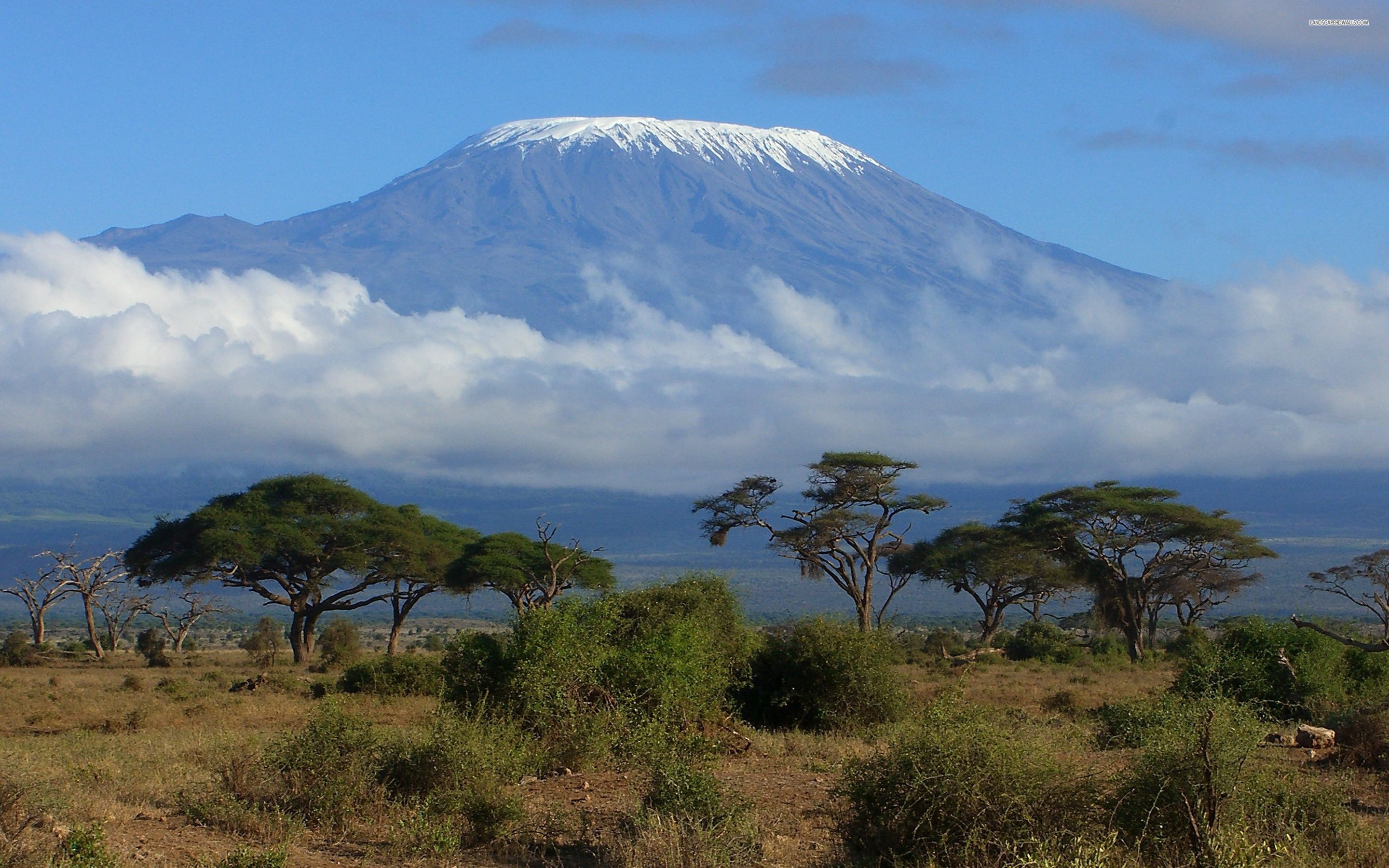 papier peint kilimandjaro,savane,la nature,montagne,paysage naturel,ciel