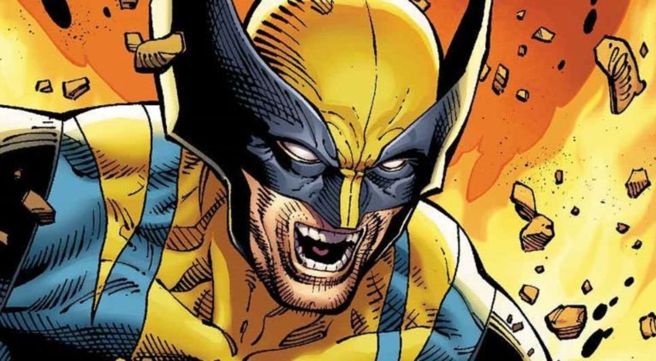 carta da parati comica wolverine,personaggio fittizio,i fumetti,finzione,supereroe,ghiottone