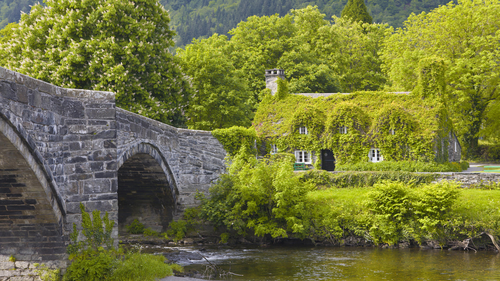 papier peint maison nature,la nature,pont en arc,paysage naturel,cours d'eau,pont