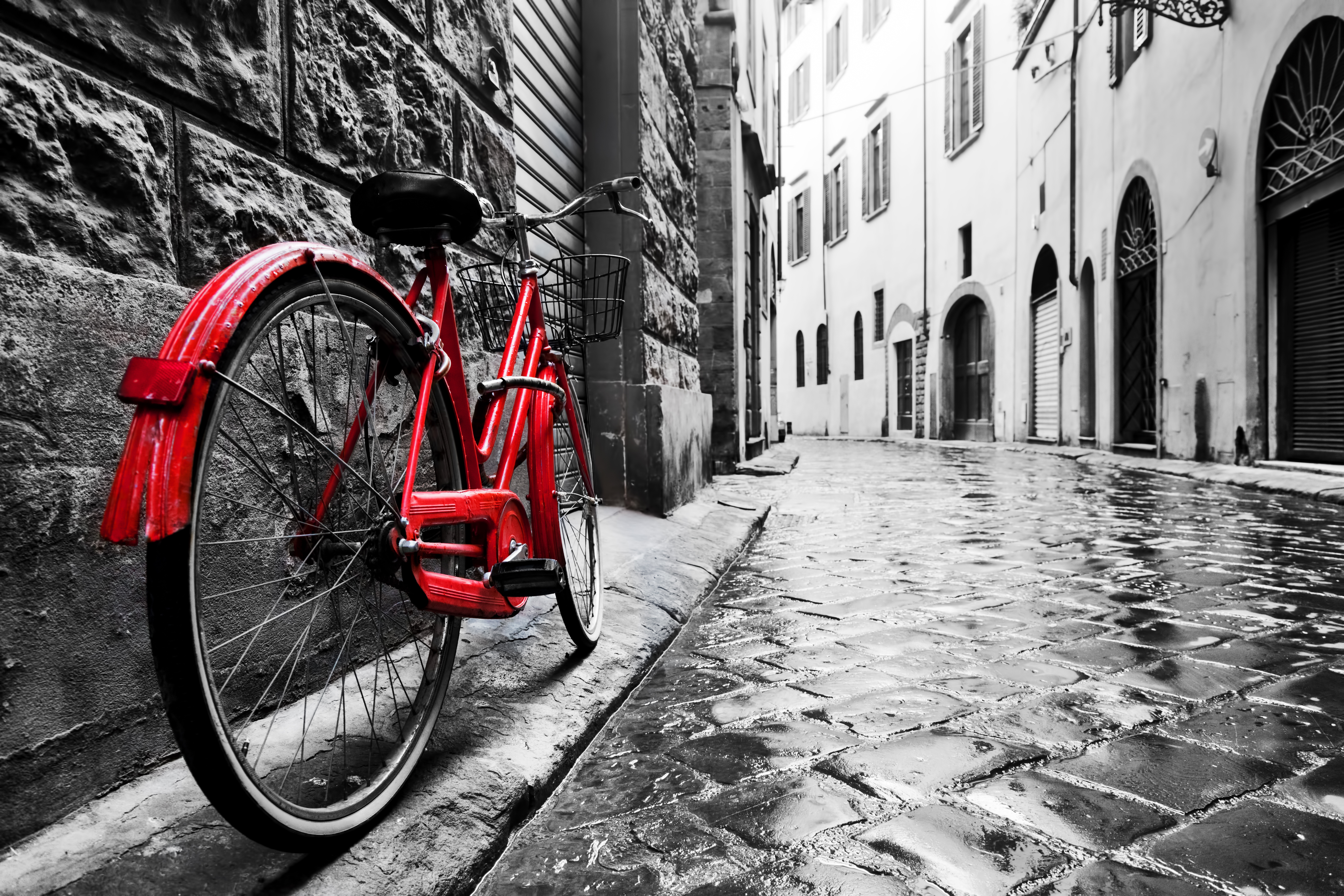 carta da parati retrò in bianco e nero,ruota di bicicletta,bicicletta,veicolo,pneumatico per bicicletta,rosso