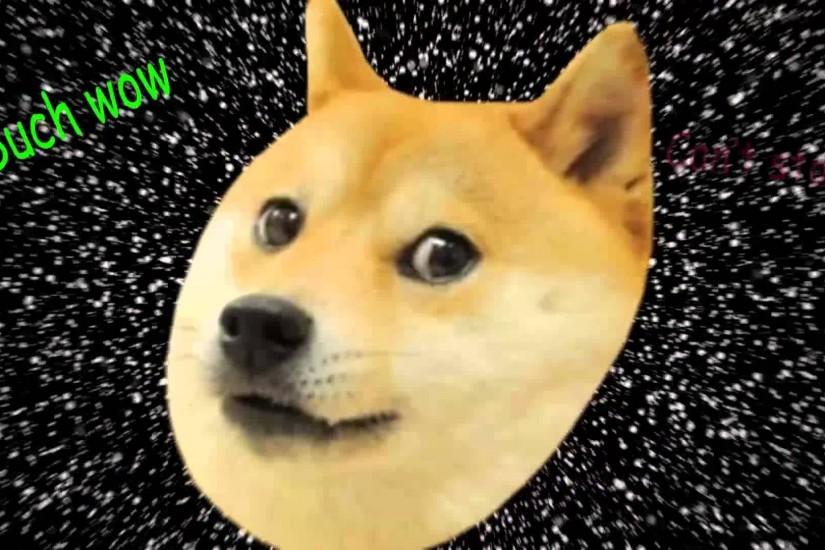 doge fondo de pantalla para iphone,perro,shiba inu,hocico