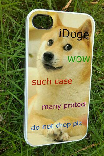 doge fondo de pantalla para iphone,perro,akita,pembroke welsh corgi,césped,shiba inu