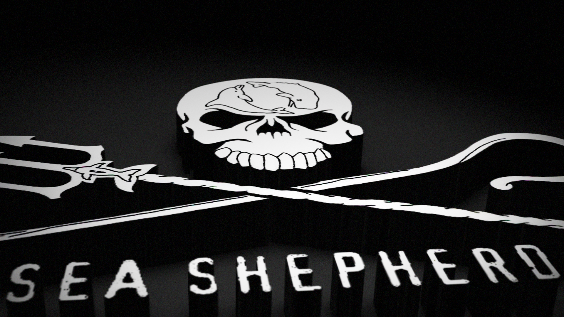 sea shepherd wallpaper,bone,skull,font,logo,automotive decal