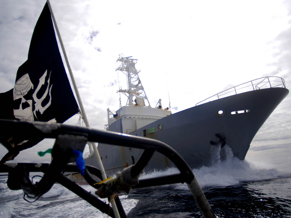 sea shepherd wallpaper,vehicle,boat,watercraft,ship,naval architecture