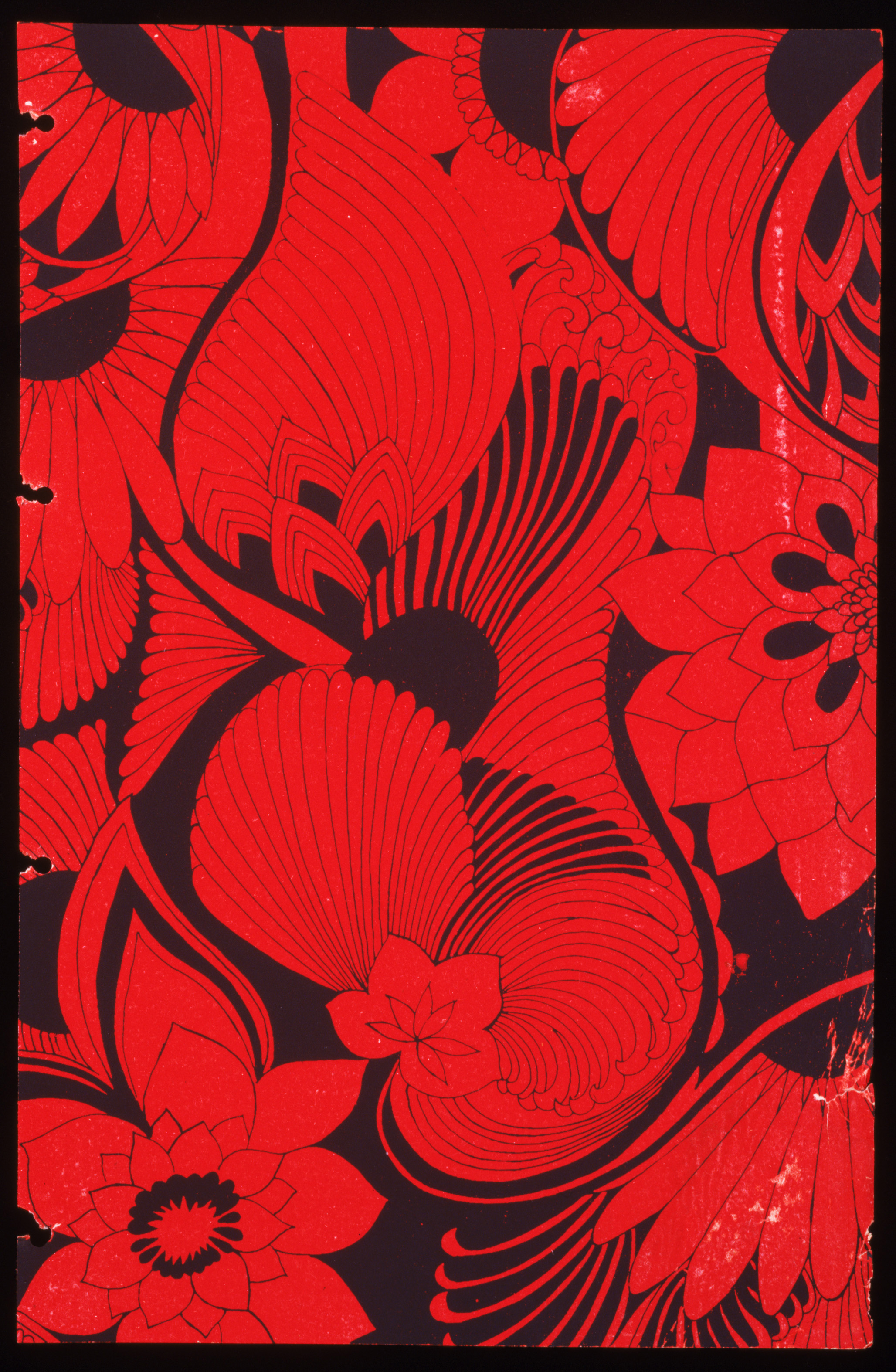 carta da parati di firenze broadhurst,rosso,modello,tessile,pianta,fiore