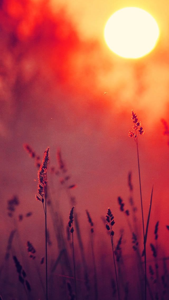 sfondi carini per iphone 5s,cielo,natura,rosso,ultimi bagliori,arancia
