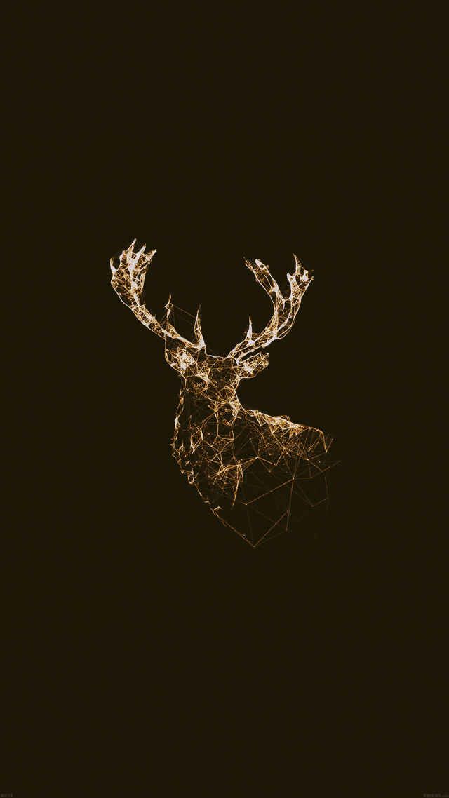 cute wallpapers for iphone 6s,deer,elk,wildlife,horn,antler
