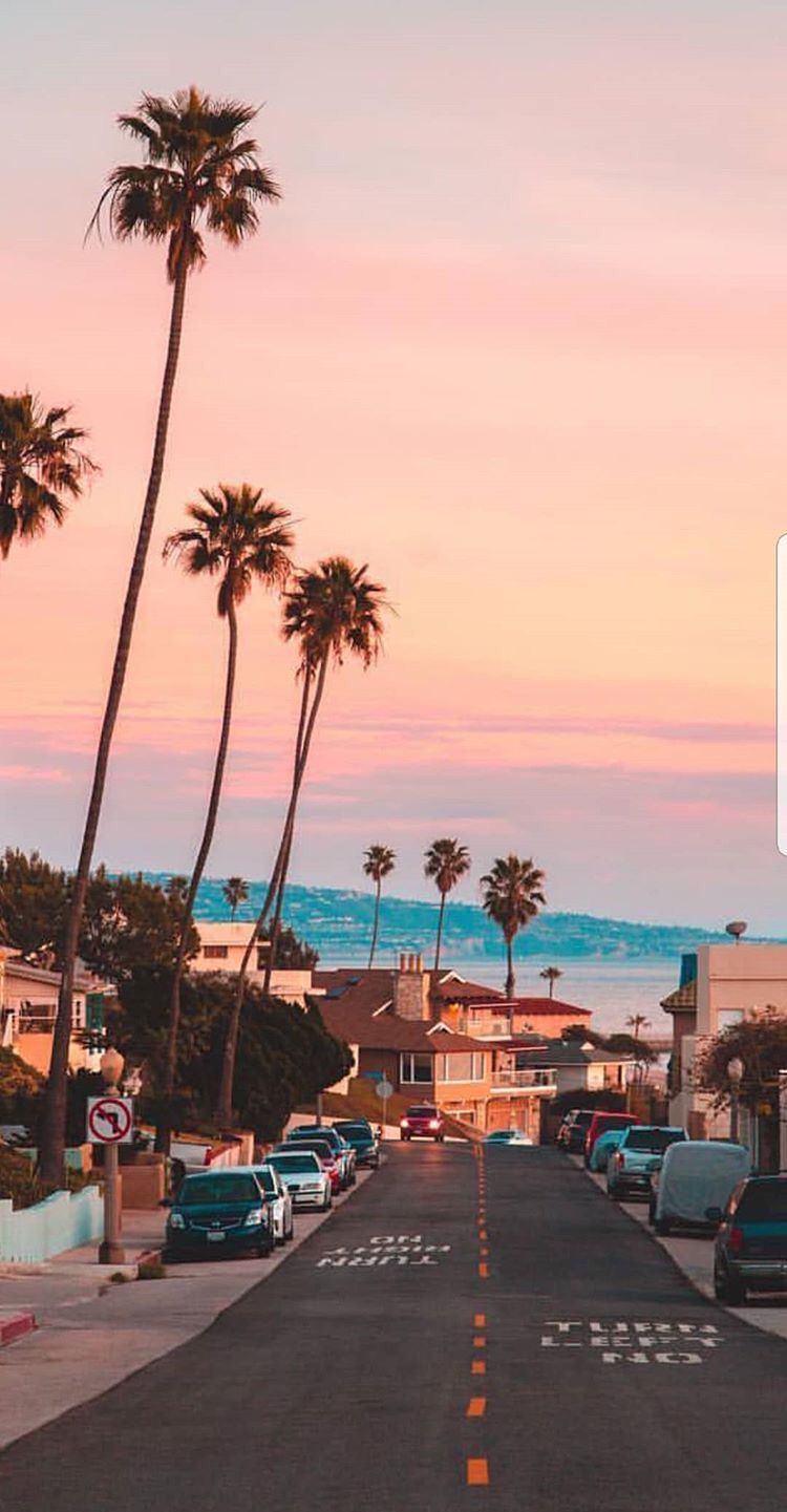 캘리포니아 아이폰 배경 화면,하늘,야자수,나무,휴가,수평선