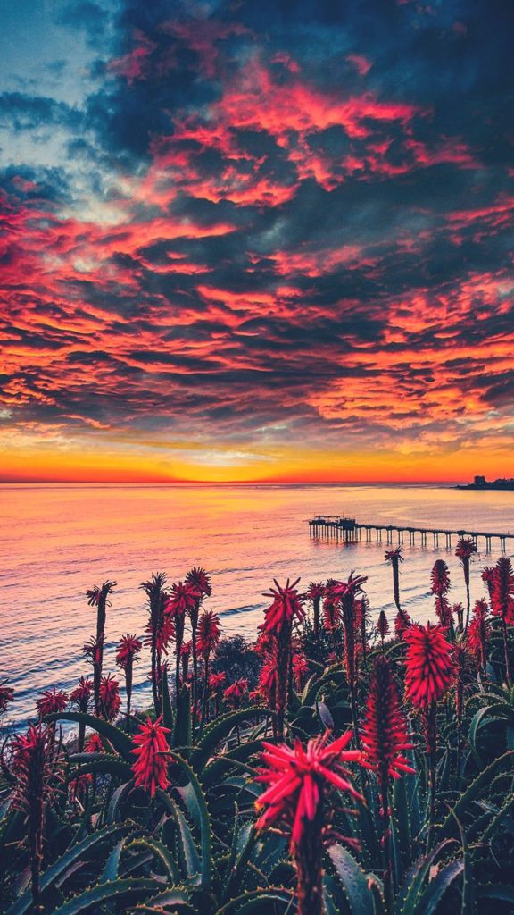california iphone wallpaper,sky,nature,red sky at morning,sunset,sunrise