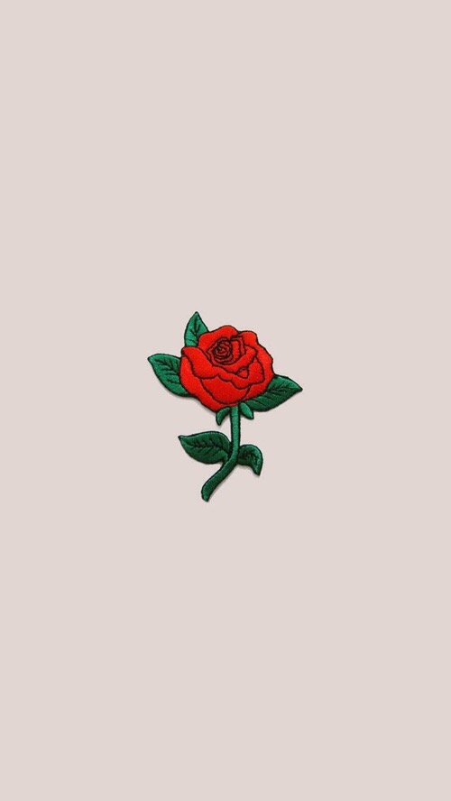 iphone wallpaper hype,rosso,rose da giardino,rosa,fiore,famiglia di rose