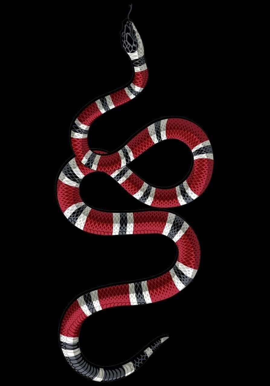 gucci phone wallpaper,milksnake,snake,scaled reptile,kingsnake,reptile