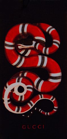 gucci apple wallpaper,milksnake,red,snake,kingsnake,scaled reptile