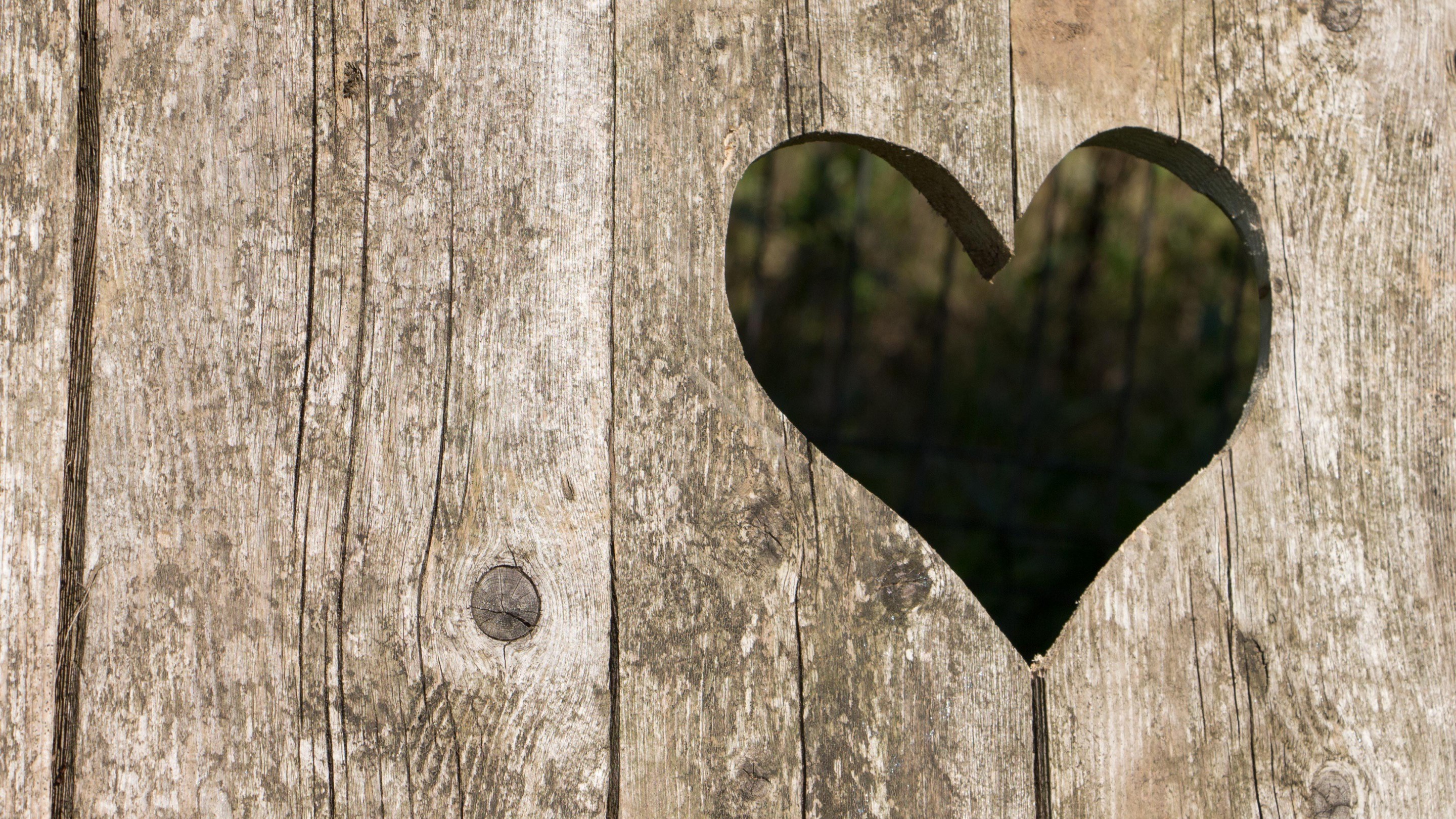 ホルツ壁紙,心臓,木材,緑,壁,愛