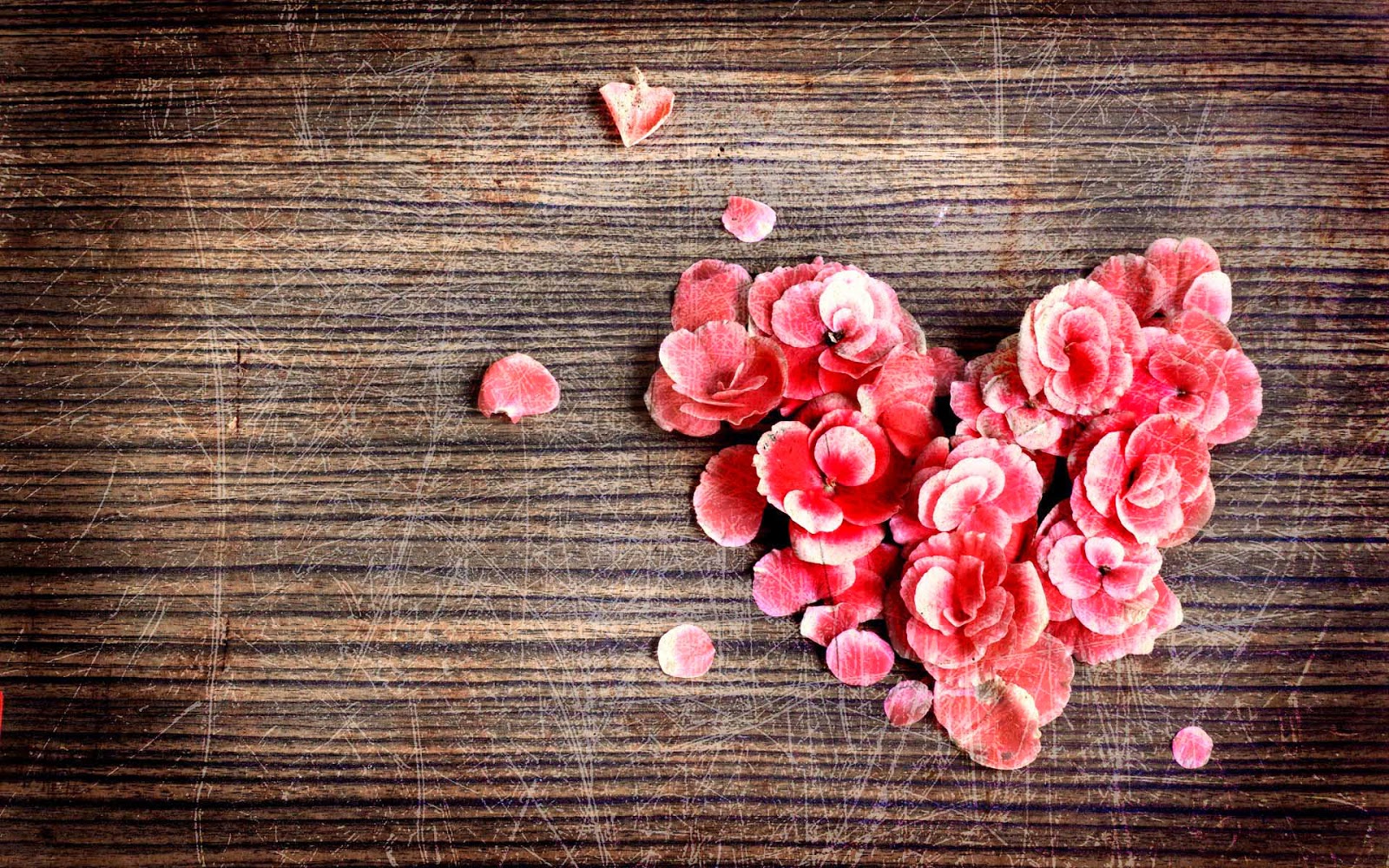 holz wallpaper,pink,heart,petal,red,flower